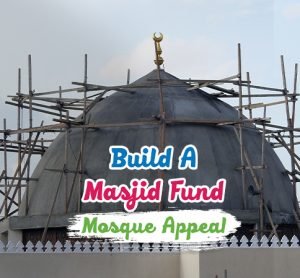 The Mosque Project